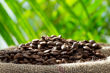 Kaffeebohnen im Sack
