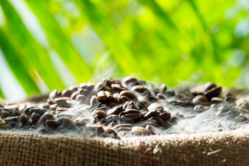 Frisch geröstete Kaffeebohnen im Sack