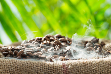Frisch geröstete Kaffeebohnen im Sack