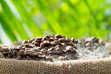 Frisch geröstete Kaffeebohnen im Sack