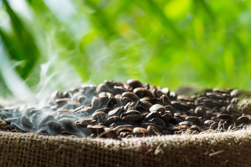 Kaffeebohnen im Sack