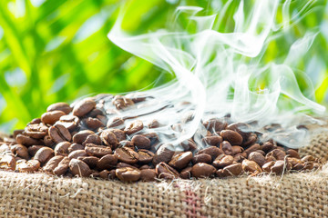 Frisch geröstete Kaffeebohnen im Sack