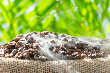 Frisch geröstete Kaffeebohnen im Sack