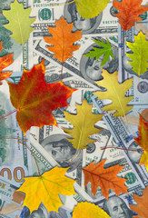 dollars and autumn leaves