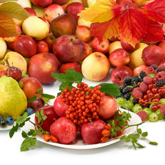 different fruits closeup on white background