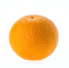 Orange fruit
