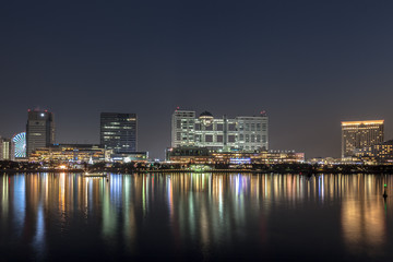 Fototapeta premium 夜のお台場海浜公園