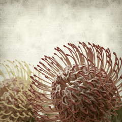 Fototapeta premium textured old paper background