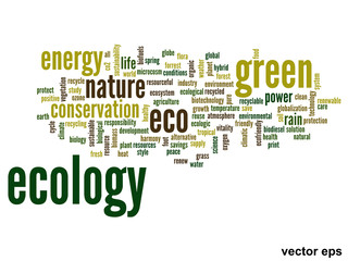 Vector conceptual ecology word cloud