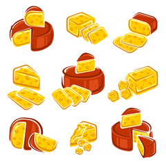 Cheese set. Vector