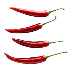 Single chili pepper set isolated on white