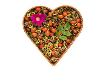 fresh summer rose hips in heart form wicker basket isolated