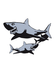 Shark fish dangerous group