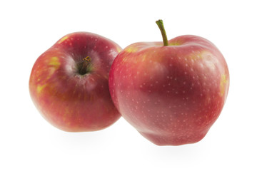 Two red apples on a white background