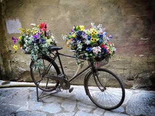 Fototapeta na wymiar floreal bicycle