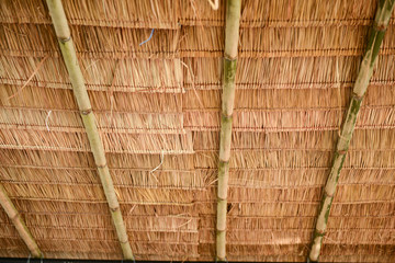 thatch roof