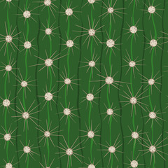 Cactus seamless pattern.
