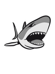 Shark fish angry sea