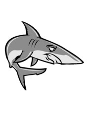 Shark fish wicked cool