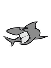 shark fish