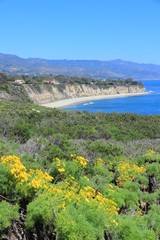Fototapeta na wymiar California coast - Point Dume state park