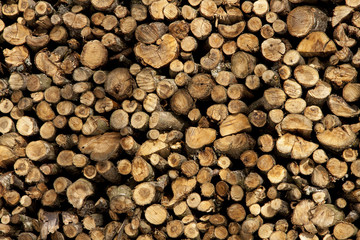 stumps of wood stacked
