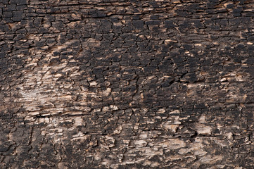 old wooden background, texture of old wood