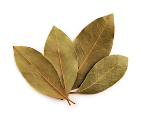Bay leaves with clipping path