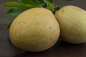 Sapodilla