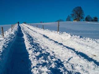 Schneebedeckter Feldweg rauf zur Anhöhe