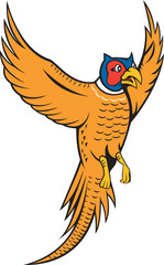 Pheasant Bird Fowl Flying Cartoon
