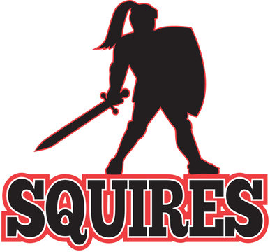 Knight Silhouette Squires Sword Shield Cartoon