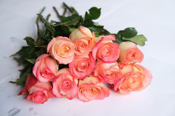 Long stem roses