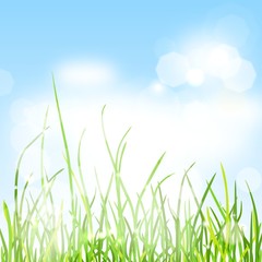 Spring nature background with grass and bokeh lights