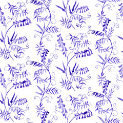 Fototapeta premium wild vetch