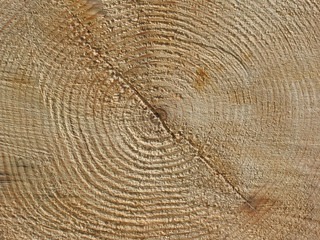 Fototapeta premium background