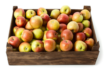 Apples