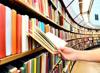 Reading a book in the library