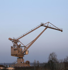 Gray crane in a harbor