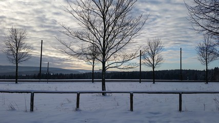 Winterliche Morgenstimmung
