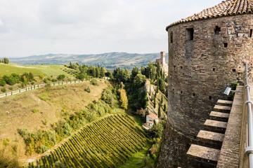 Cultivated fields near medieval  Fortress
