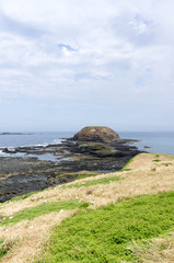 View to Nobbies Phillip Island Sea Gull nesting site Vert