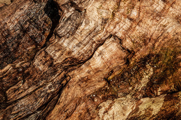 old wood texture background