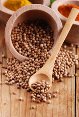 coriandolo nella ciotola di legno con altre spezie intorno