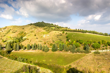Fototapeta na wymiar Cultivated hills