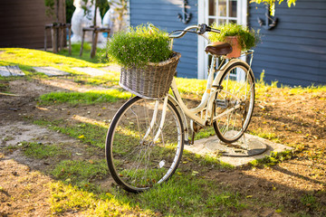 Old bicycle in the park