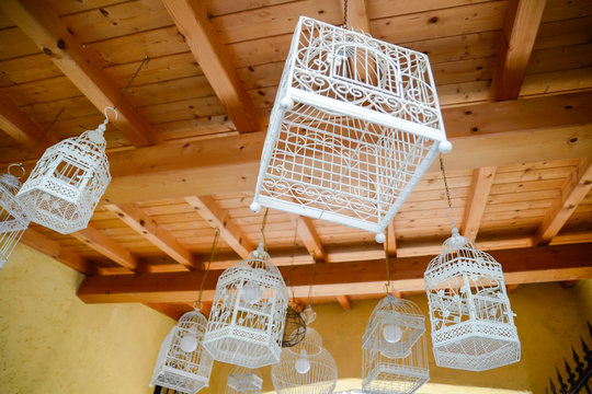 bird cages lamp