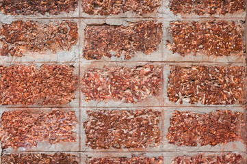 laterite wall background