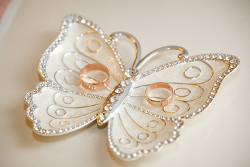 Wedding rings lie on a plateau in the form of a butterfly.