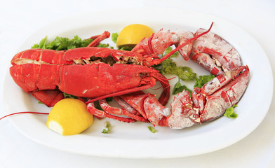 Cooked lobster on a white plate